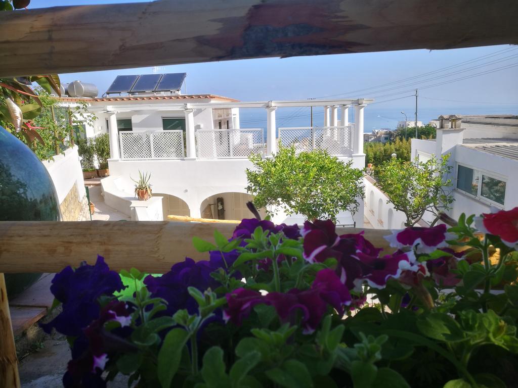 Villa Patrizi Capri Eksteriør billede